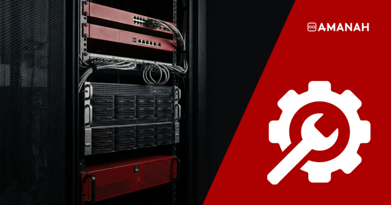 Customer-owned server rack in a colocation cage with a leased managed switch, firewall appliance, and backup system mounted around it